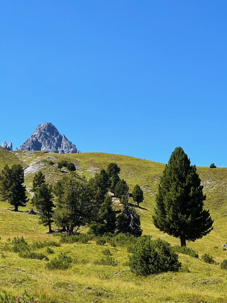 Matthias Maier | Hiking down Val Mingèr