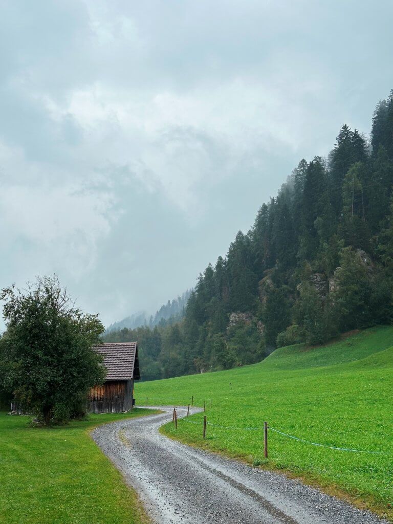 Matthias Maier | Walking Trail