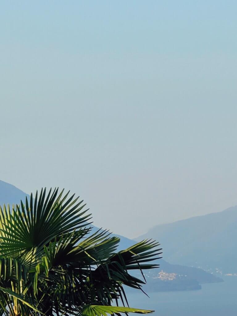 Matthias Maier | Pino sulla sponda del Lago Maggiore
