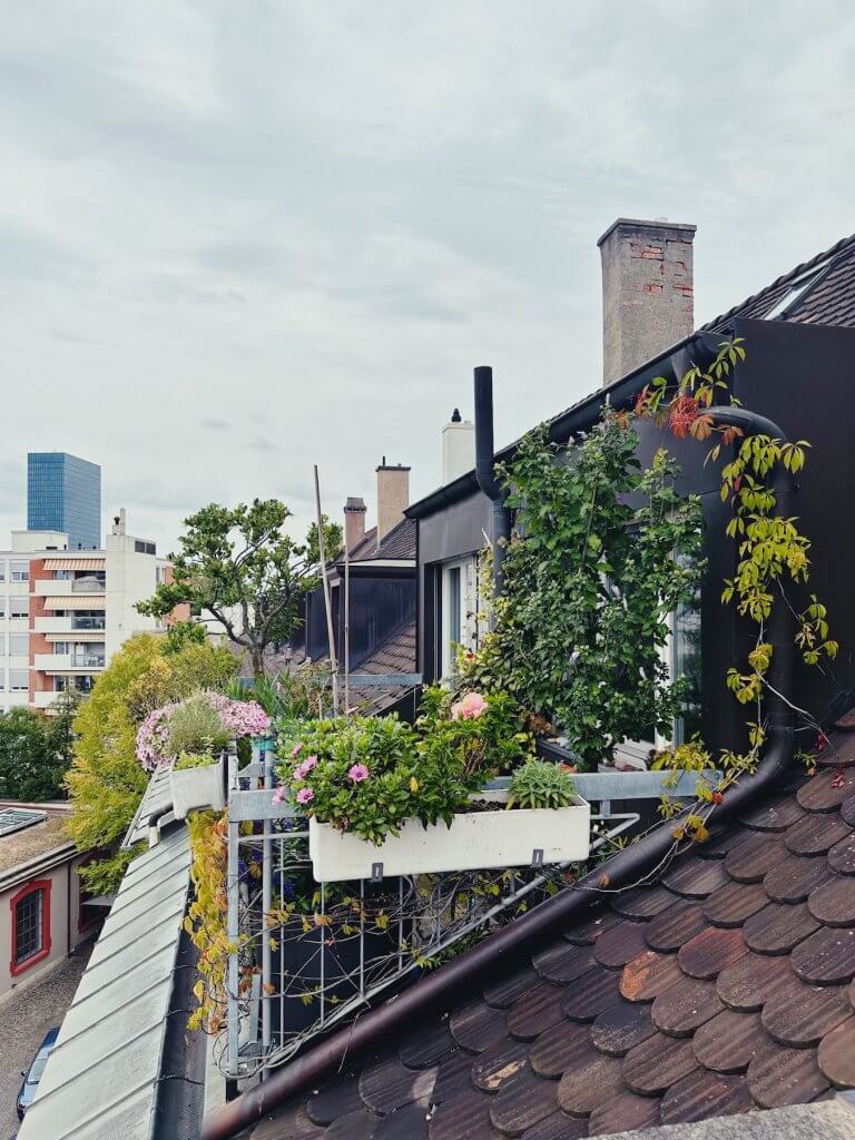 Matthias Maier | My rooftop garden
