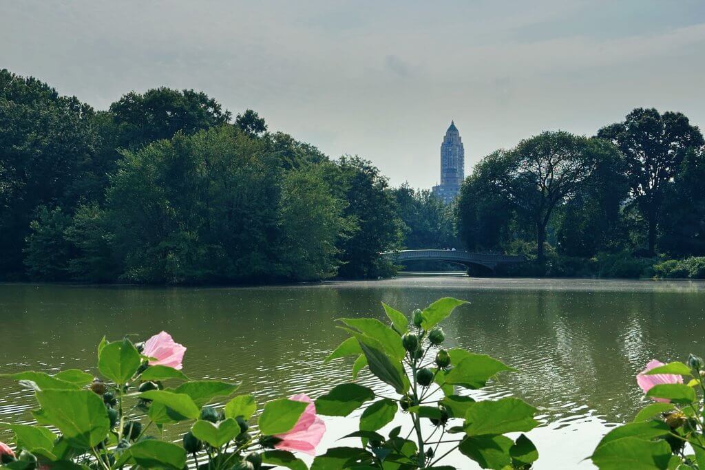 Matthias Maier | Stories | Week 31 2025 | The Bow Bridge over The Lake in Central Park