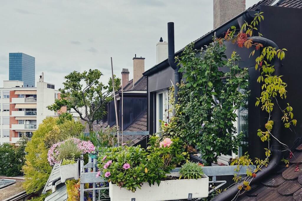 Matthias Maier | Stories | Week 34 2025 | My rooftop balcony