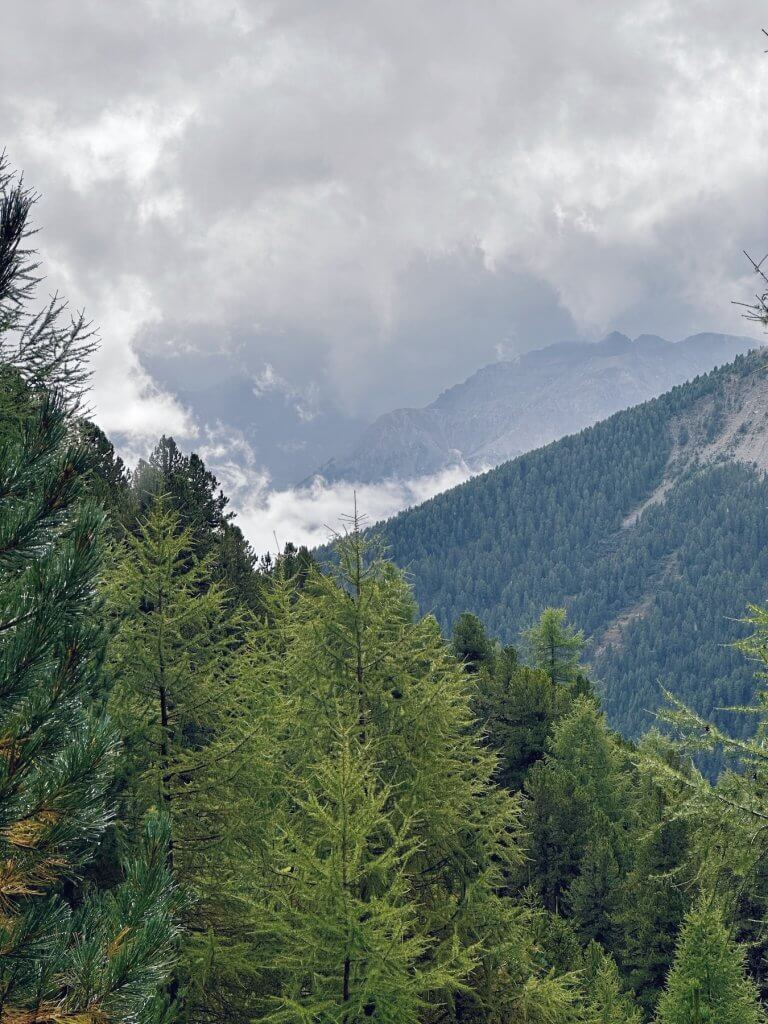 Matthias Maier | Cloudy valley