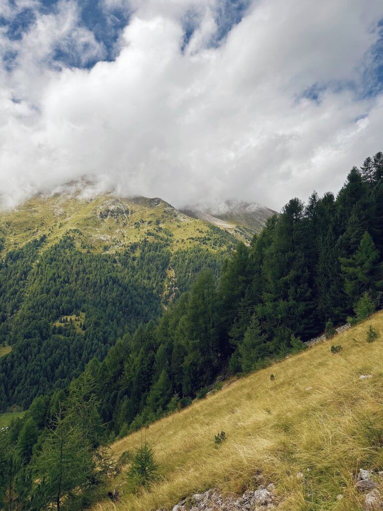 Matthias Maier | Avigna valley