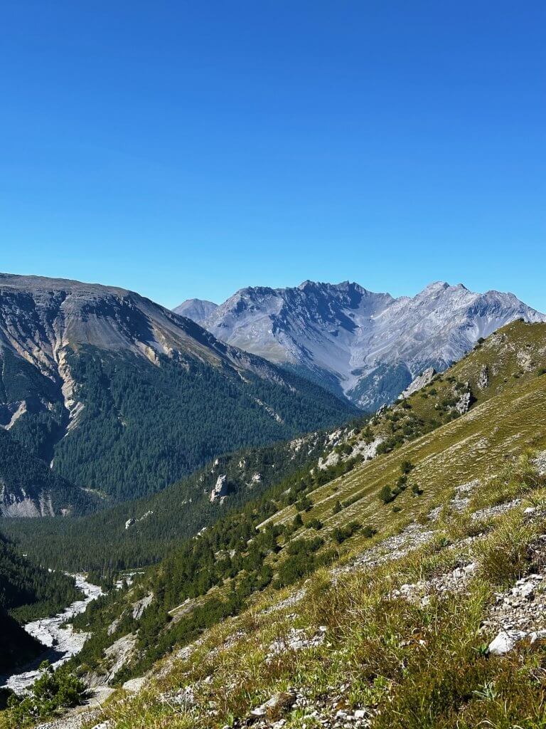 Matthias Maier | Swiss National Park