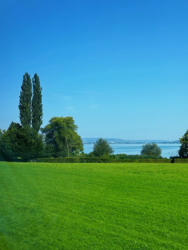 Matthias Maier | Lake Sempach