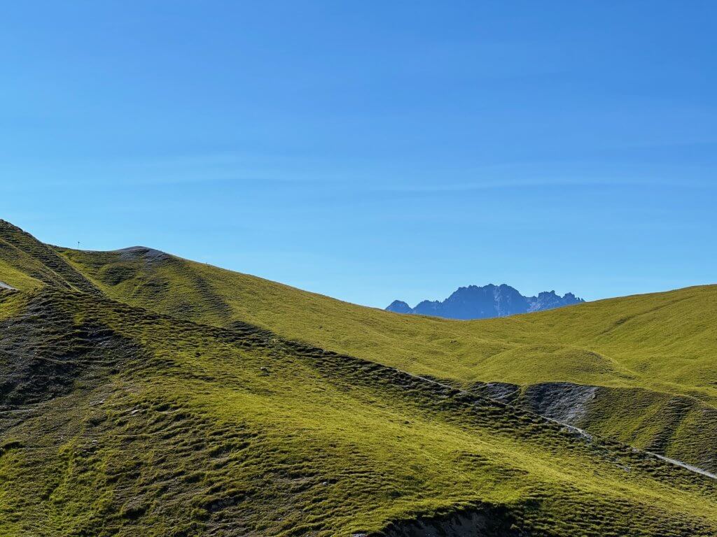 Matthias Maier | Green meadows