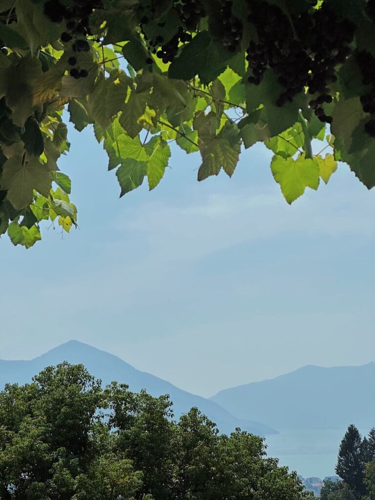 Matthias Maier | Pergola with a view