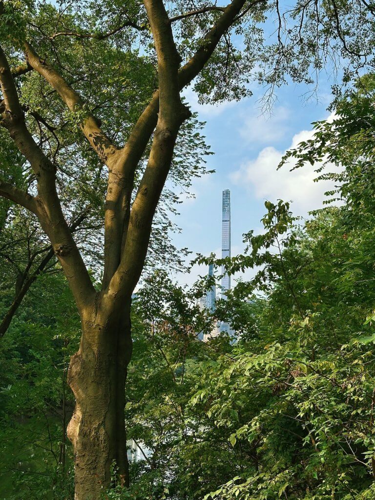 Matthias Maier | Vertical bracing