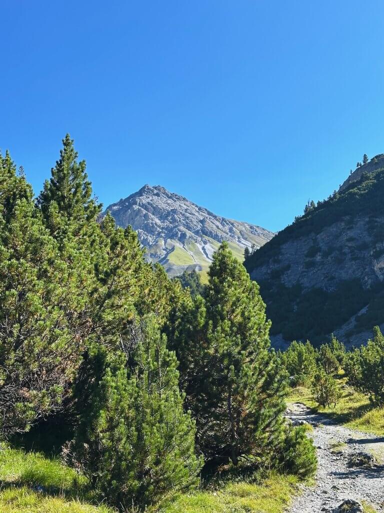 Matthias Maier | Val da Botsch