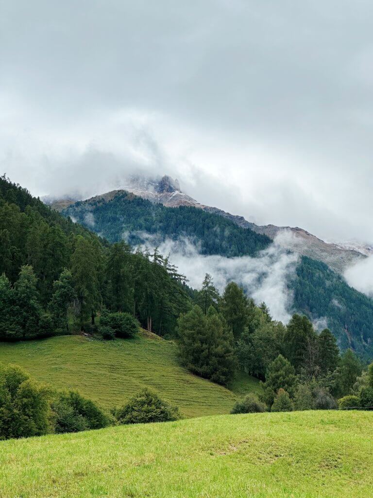 Matthias Maier | After the rain