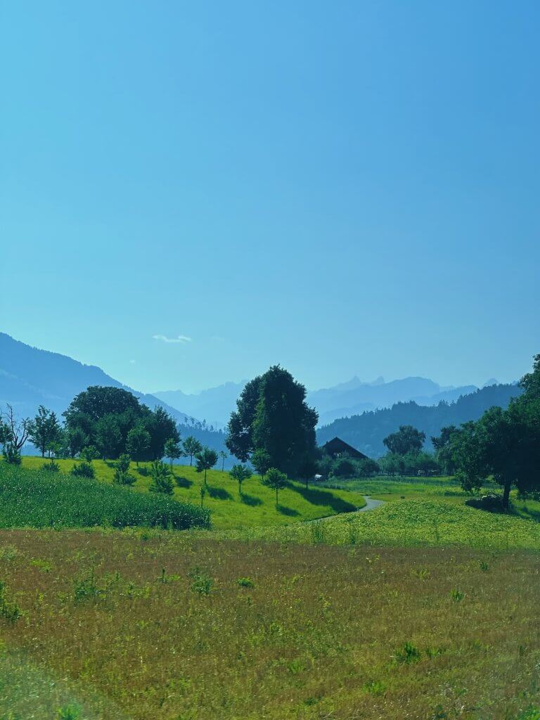 Matthias Maier | Alpine foothills