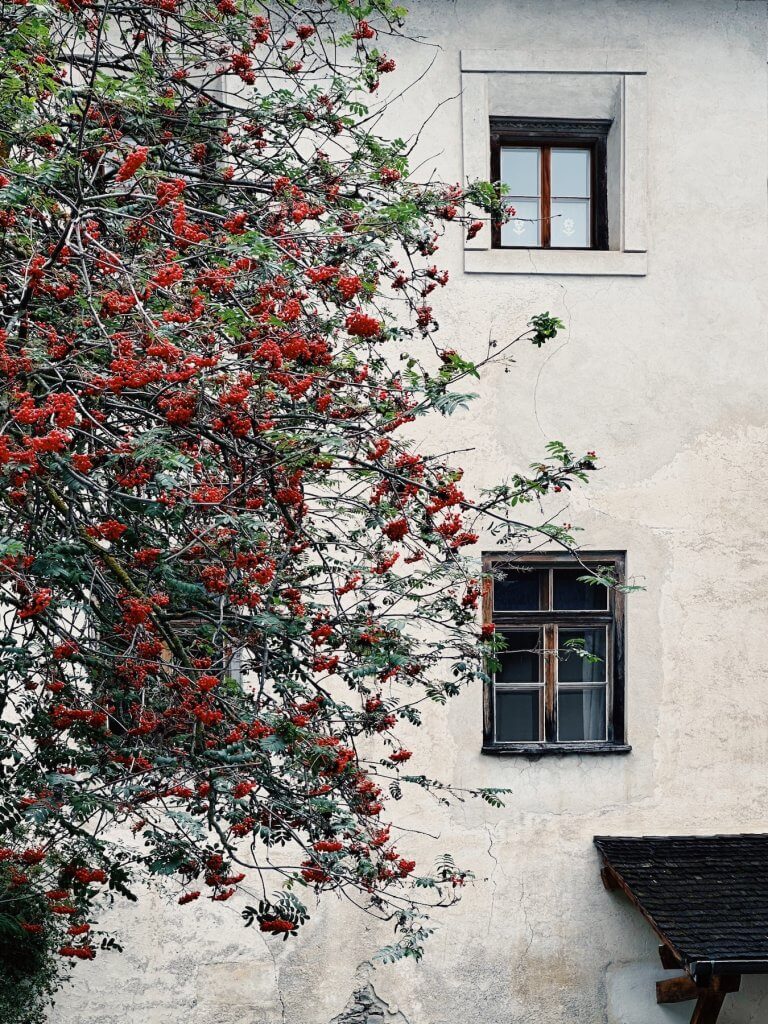 Matthias Maier | Monastery courtyard