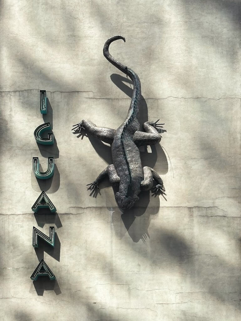 Matthias Maier | Mexico in NYC
