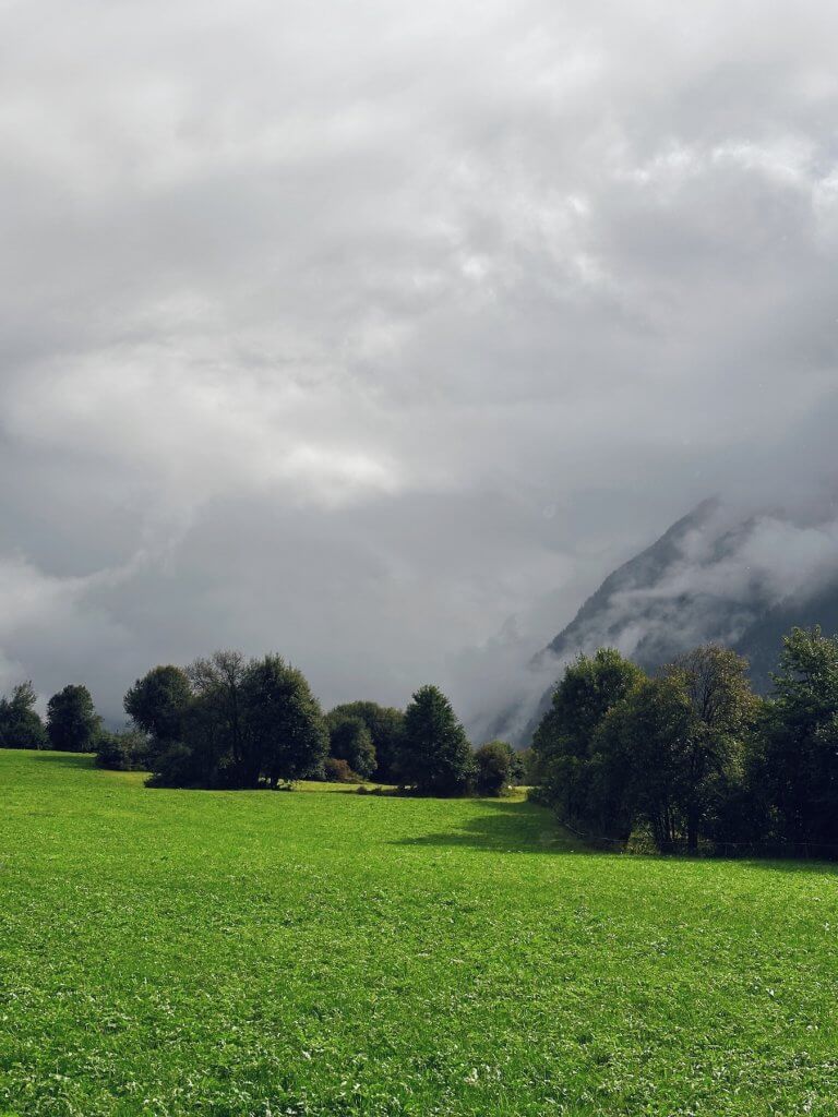 Matthias Maier | Sunshine after a rainy night