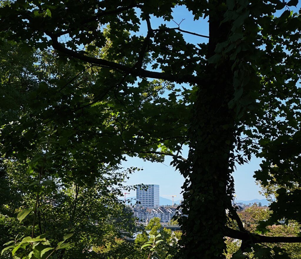 Matthias Maier | Stories | Week 36 2025 | View through the trees to the Biozentrum in Basel