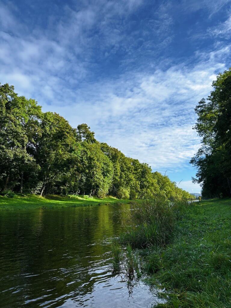 Matthias Maier | Wiese River