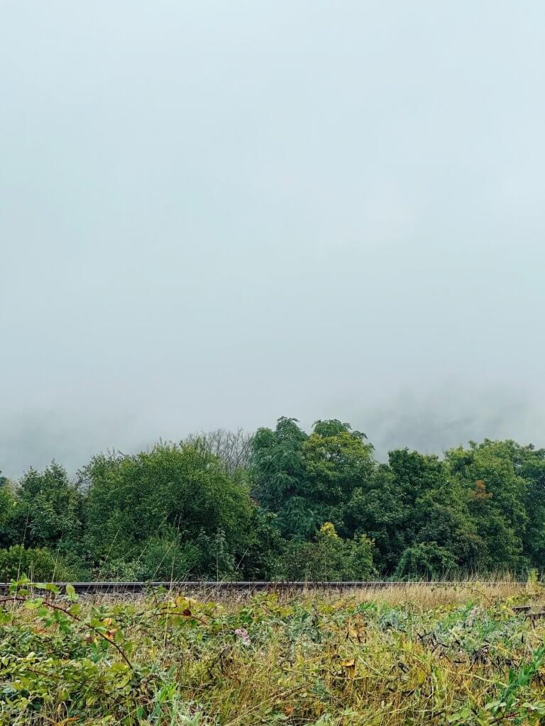 Matthias Maier | Rainy landscape