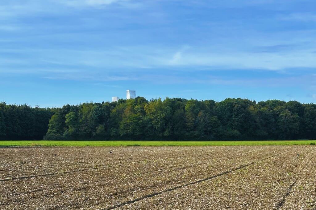 Matthias Maier | Stories | Week 38 2025 | A harvestet field in Weil am Rhein