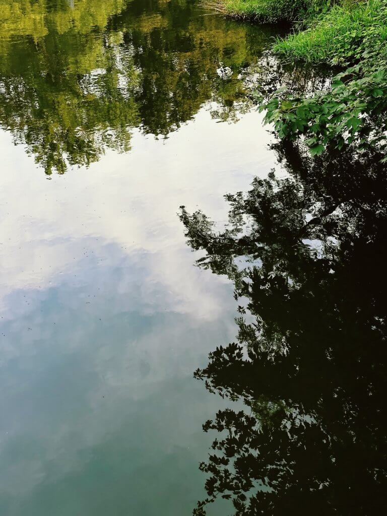 Matthias Maier | Backwater reflection