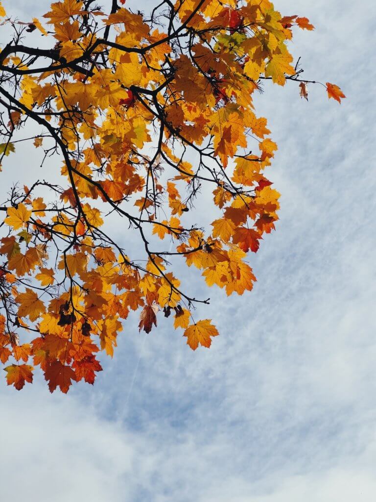 Matthias Maier | Warmth in a cold sky