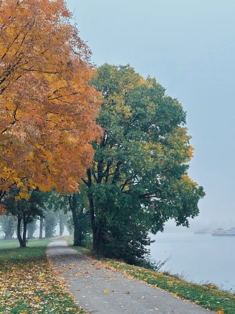 Matthias Maier | Fall morning