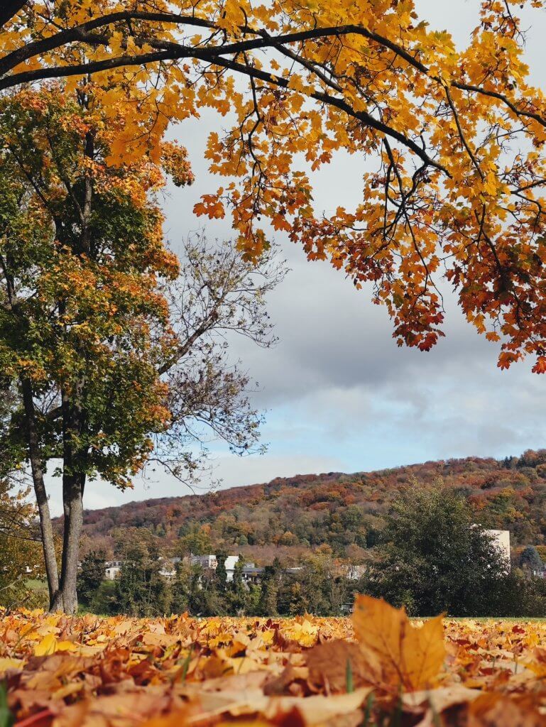 Matthias Maier | Yellow world