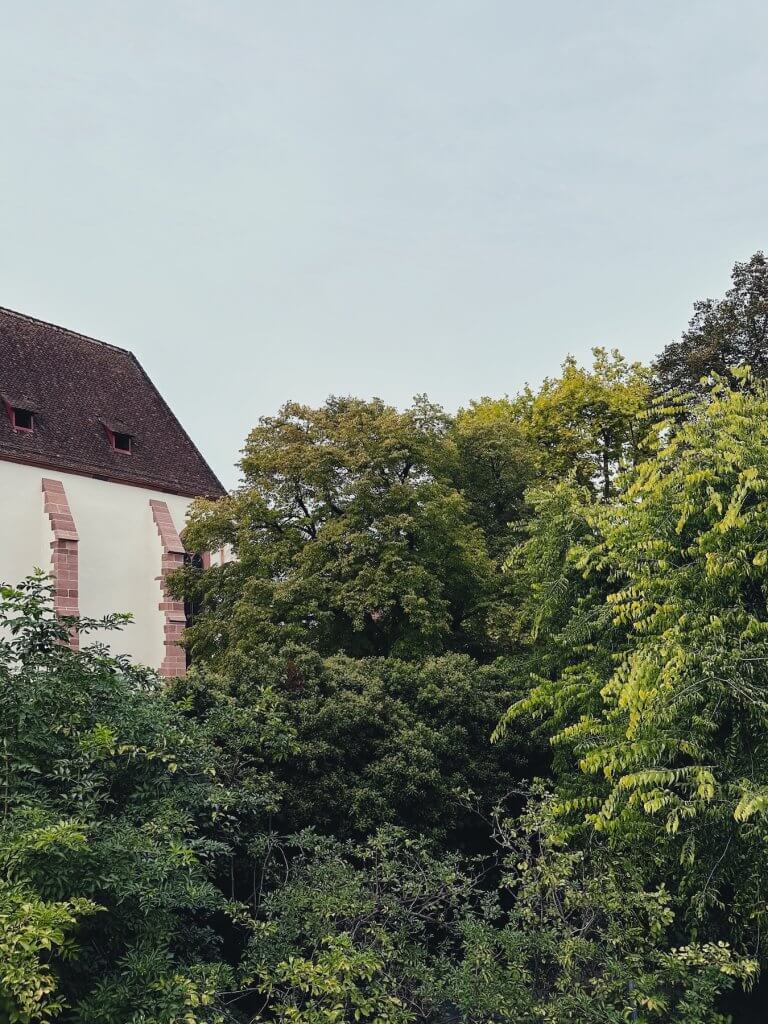 Matthias Maier | City trees