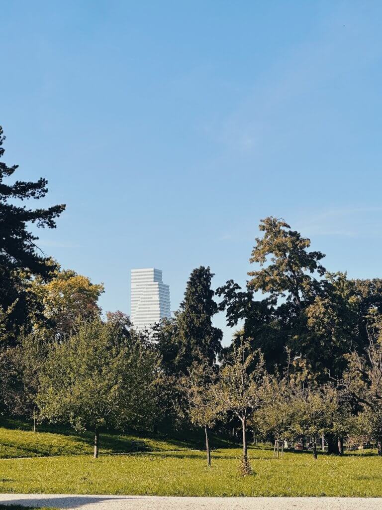 Matthias Maier | Schwarzpark