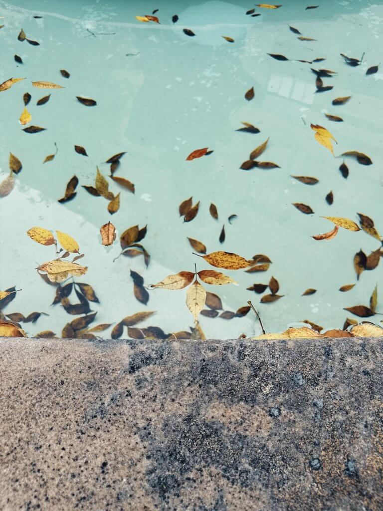 Matthias Maier | Sunken leaves