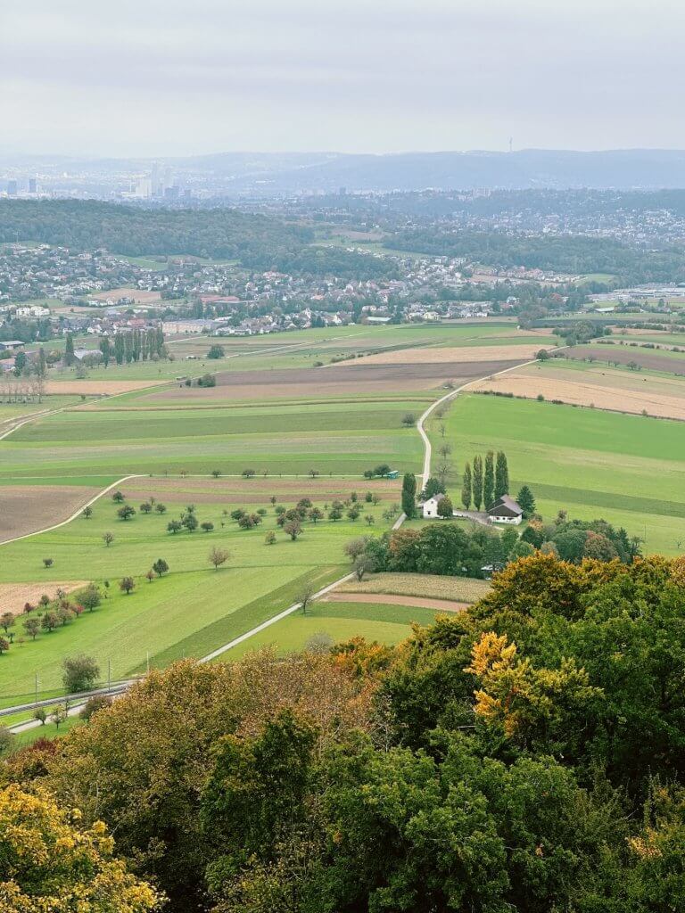 Matthias Maier | Leymen valley