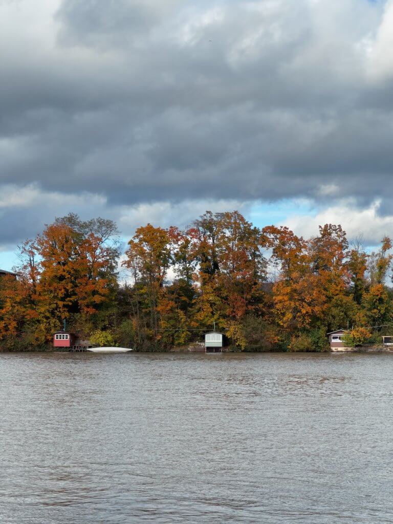 Matthias Maier | Fall shore