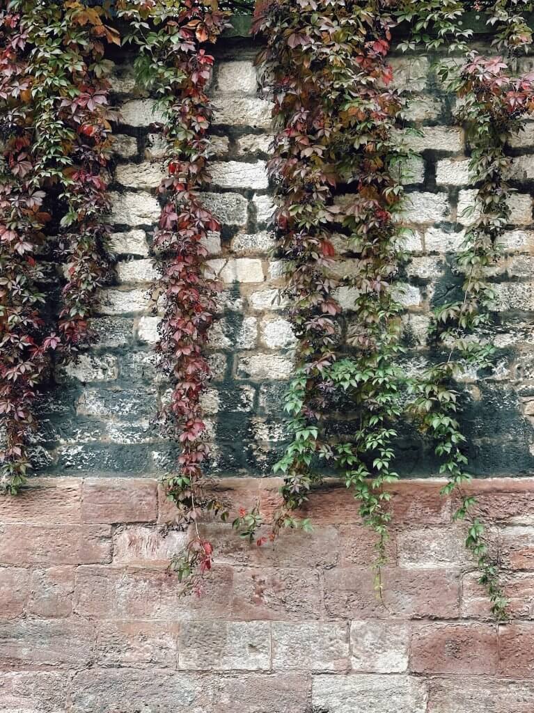 Matthias Maier | Fall mood on the wall