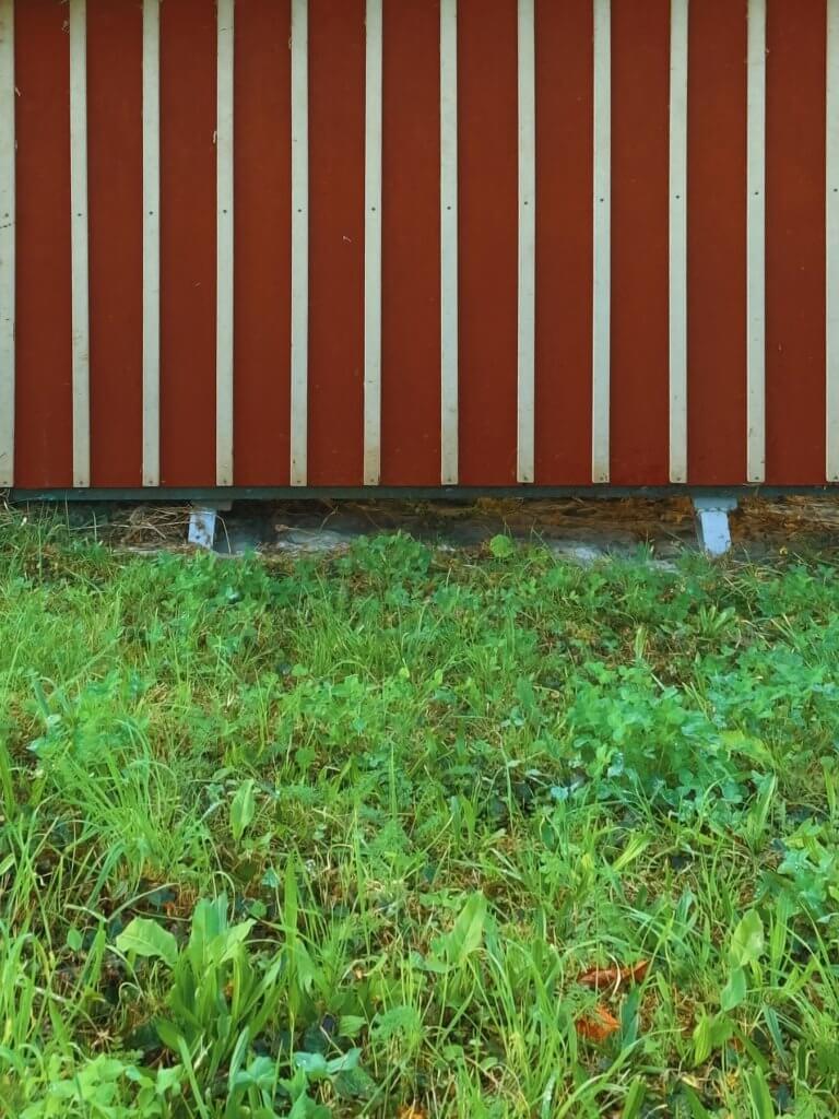 Matthias Maier | Striped
