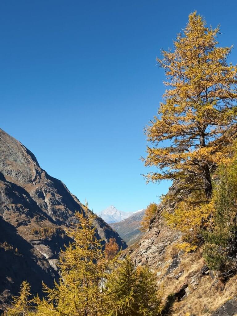 Matthias Maier | Landscape in Valais