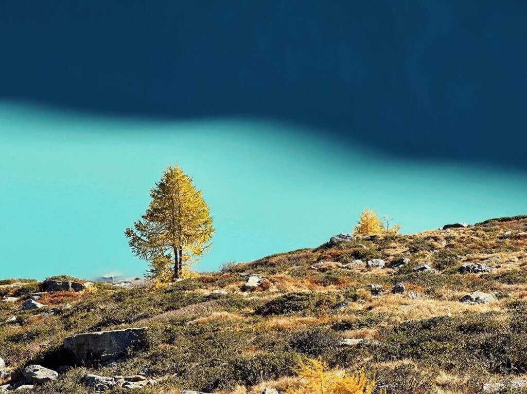 Matthias Maier | Fall colors