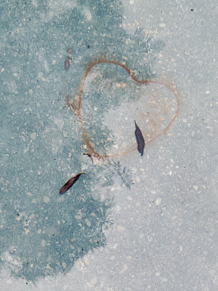 Matthias Maier | Underwater love