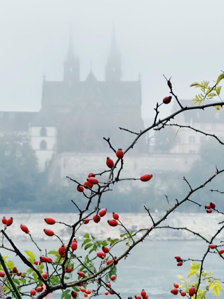 Matthias Maier | Color dots in the fog