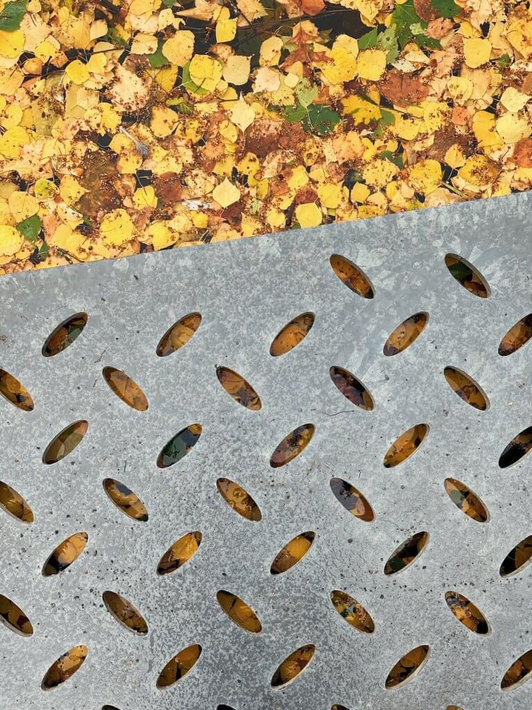 Matthias Maier | Wrapped fall leaves