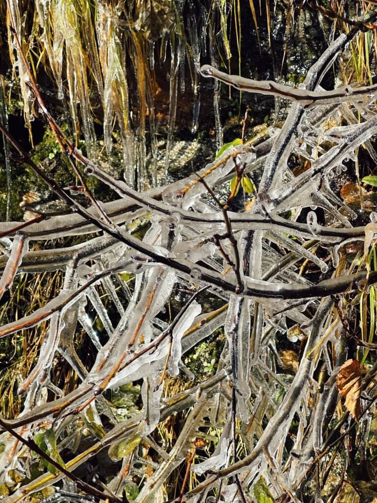 Matthias Maier | Surrounded by ice