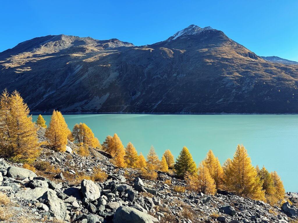 Matthias Maier | Larches and the lake