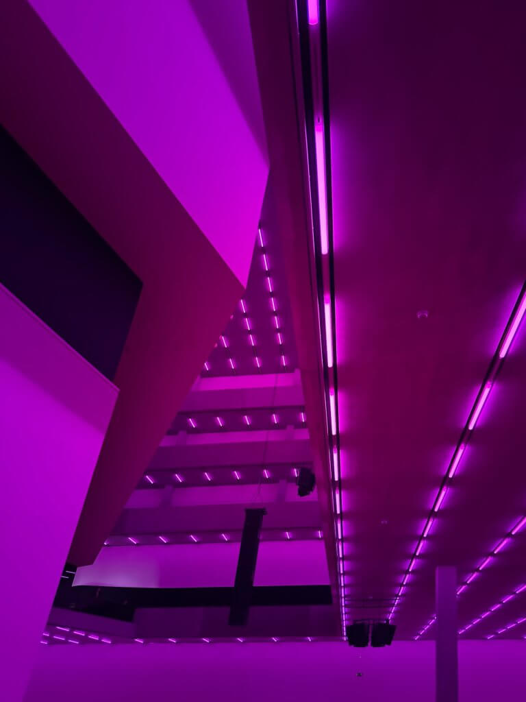 Matthias Maier | Schaulager in pink