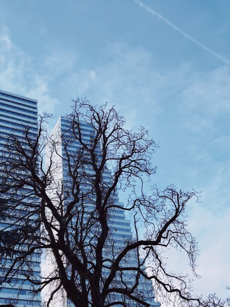 Matthias Maier | Organic and striped