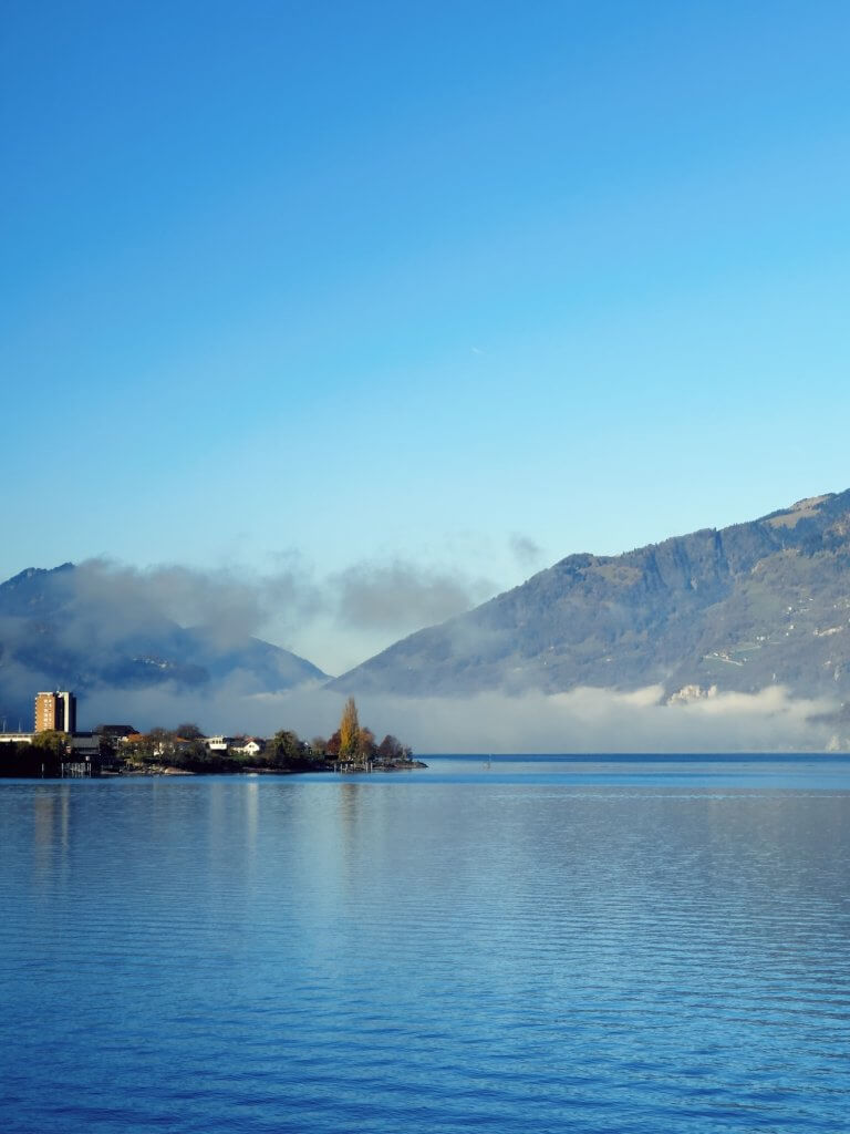 Matthias Maier | Out of the fog