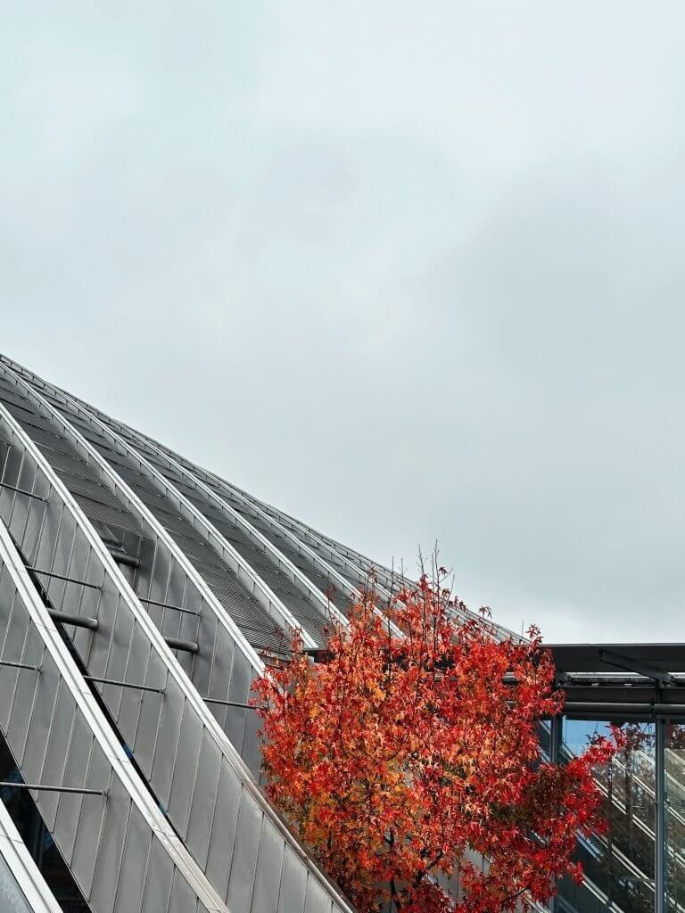 Matthias Maier | Nature and Architecture