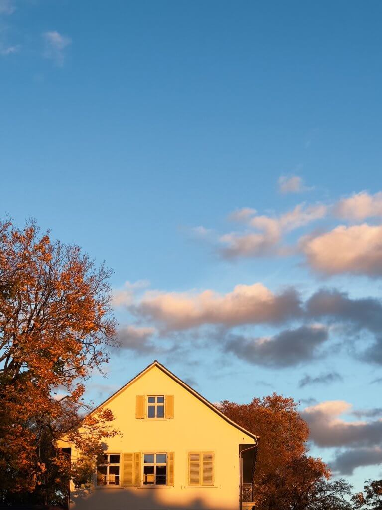 Matthias Maier | Evening sun