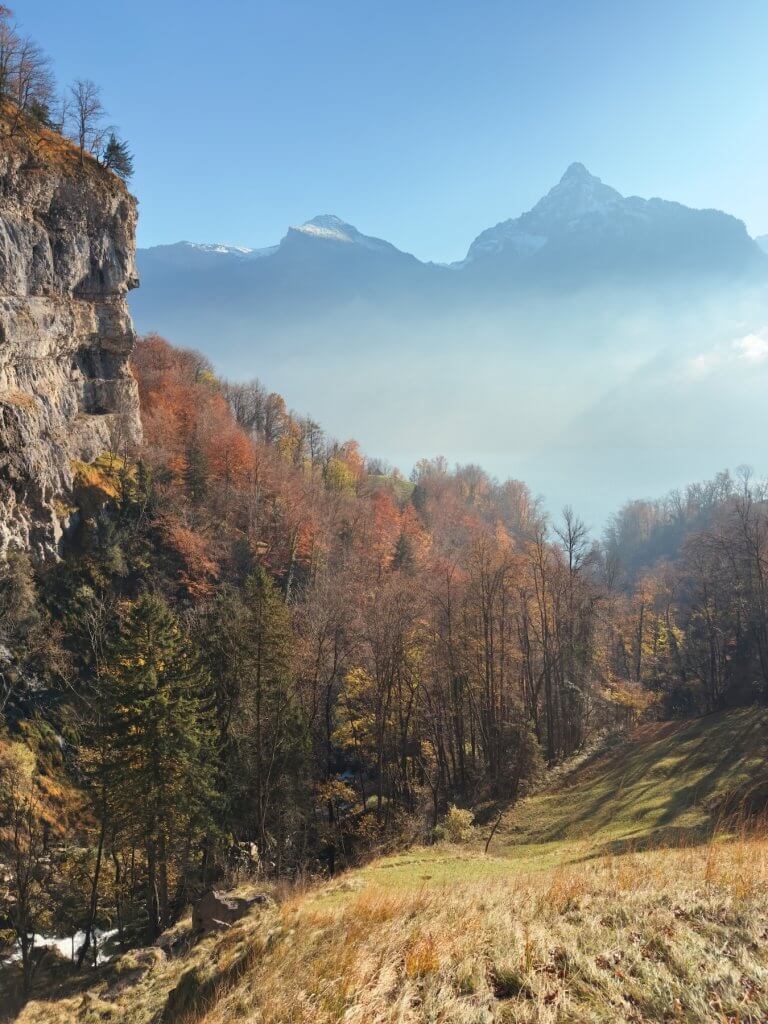 Matthias Maier | Leaded colors