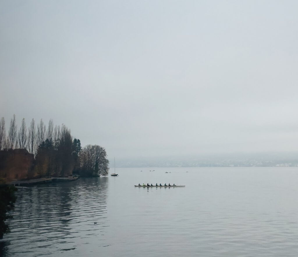 Matthias Maier | Stories | Week 45 2025 | Rowers on Lake Zurich
