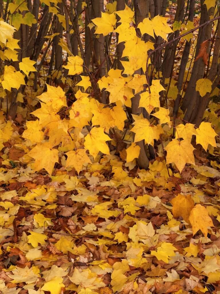 Matthias Maier | The end of the cycle