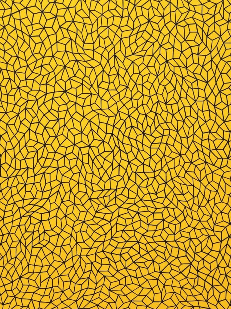 Matthias Maier | Yayoi Kusama: Infinity Nets